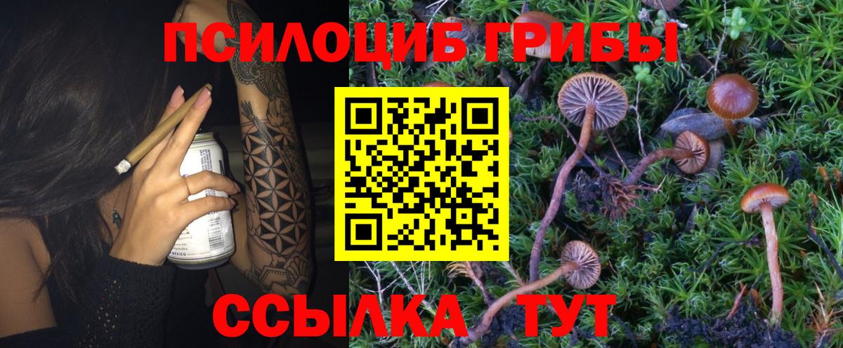 Галлюциногенные грибы мухоморы Полевской