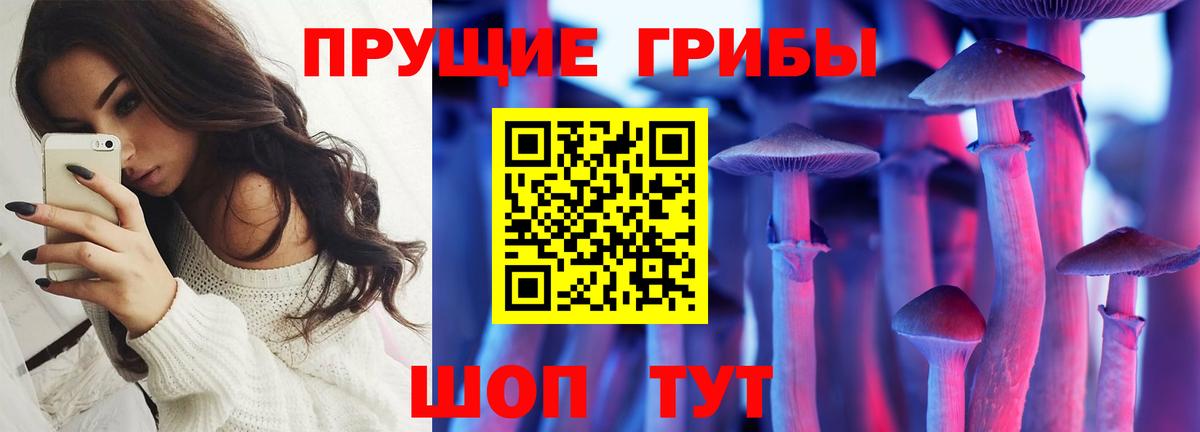 Галлюциногенные грибы Cubensis  закладки  Полевской  Вход с VPN 
